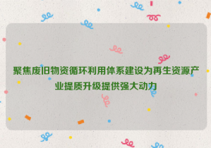 聚焦廢舊物資循環(huán)利用體系建設(shè)為再生資源產(chǎn)業(yè)提質(zhì)升級提供強(qiáng)大動力