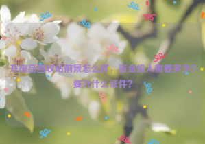 開廢品回收站前景怎么樣，資金投入需要多少？要辦什么證件？