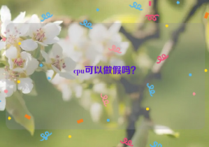 cpu可以做假嗎？