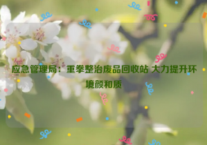 應急管理局：重拳整治廢品回收站 大力提升環(huán)境顏和質(zhì)