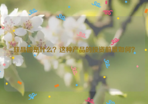 硅晶圓是什么？這種產(chǎn)品的投資前景如何？