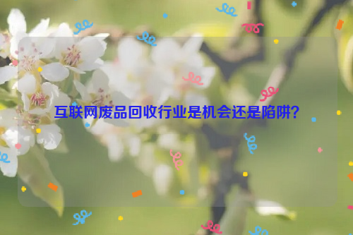 互聯(lián)網(wǎng)廢品回收行業(yè)是機會還是陷阱？
