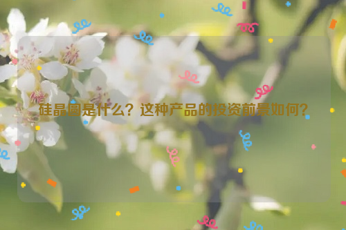硅晶圓是什么？這種產(chǎn)品的投資前景如何？