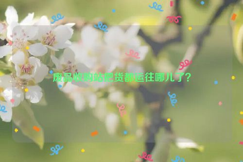廢品收購站把貨都運(yùn)往哪兒了？