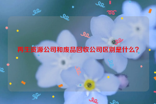 再生資源公司和廢品回收公司區(qū)別是什么？