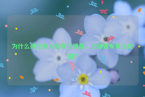 為什么現(xiàn)在有人回收舊鍵盤，舊鍵盤有什么價(jià)值？