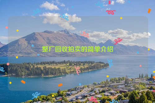 整廠回收拍賣的簡(jiǎn)單介紹