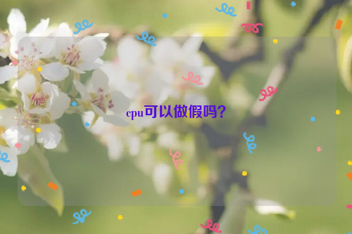 cpu可以做假嗎？