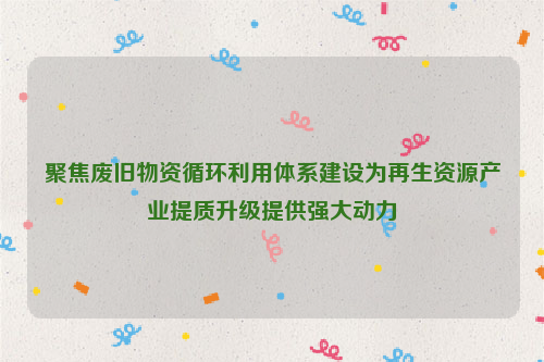聚焦廢舊物資循環(huán)利用體系建設(shè)為再生資源產(chǎn)業(yè)提質(zhì)升級提供強大動力